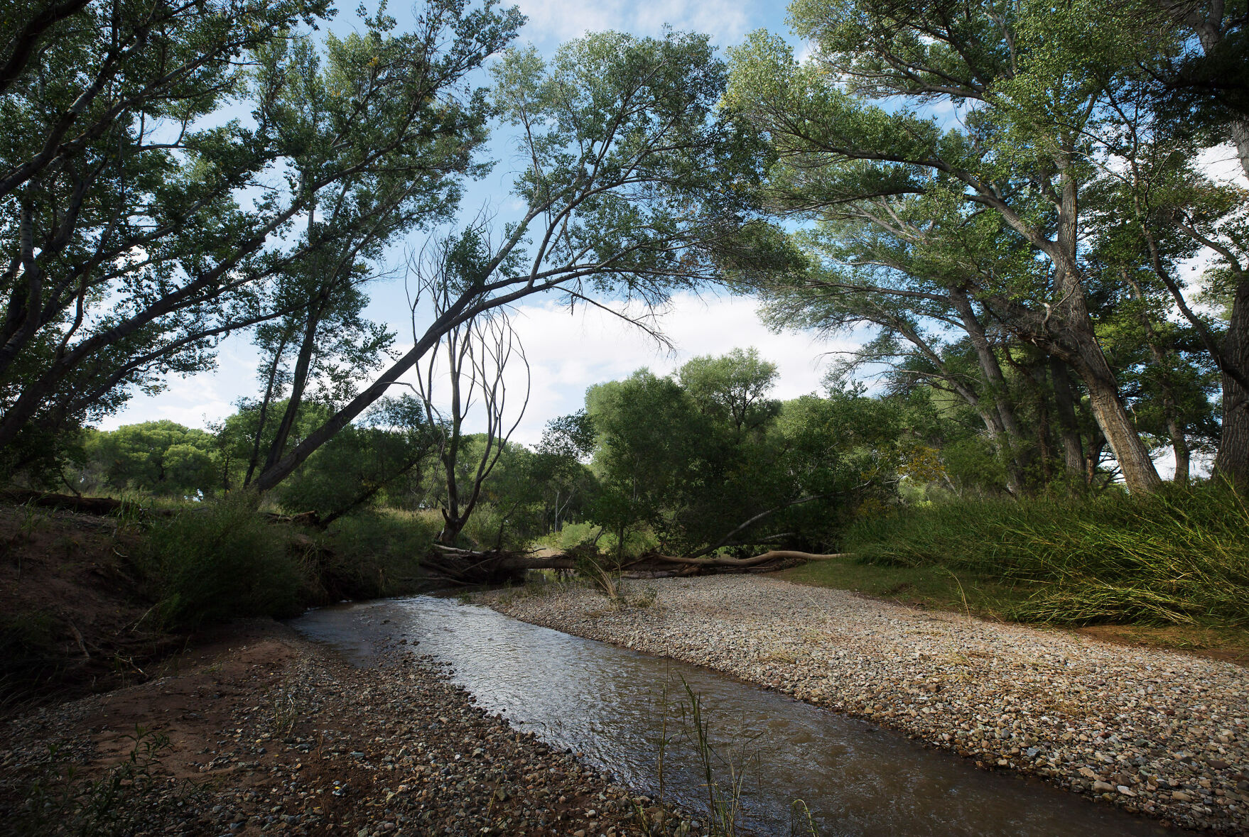 San Pedro River